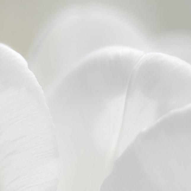 AROMATICA Blossoming Body Lotion Neroli & Jasmine - BESTSKINWITHIN