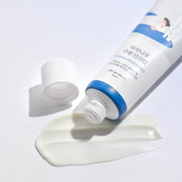 ROUND LAB Birch Juice Moisturizing Sun Cream SPF50+PA++++ - BESTSKINWITHIN